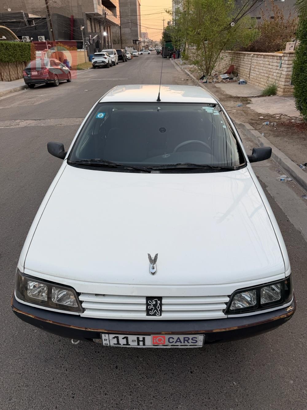 بيجو روا